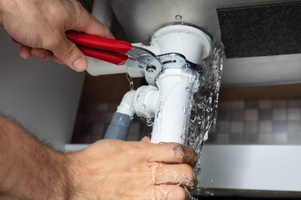 Best Sewage cleanup and water damage restoration  in Triana, AL