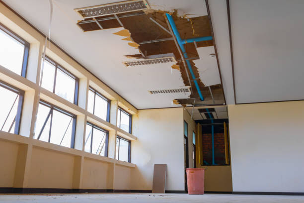 Best Water damage restoration near me  in Triana, AL