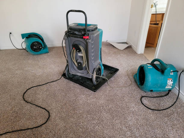Best 24/7 water damage repair  in Triana, AL