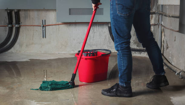 Best Basement water damage restoration  in Triana, AL