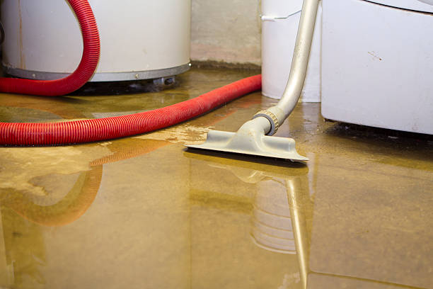 Best Local water damage restoration  in Triana, AL