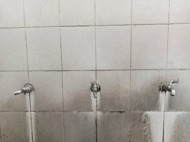 Best 24-hour water damage restoration  in Triana, AL