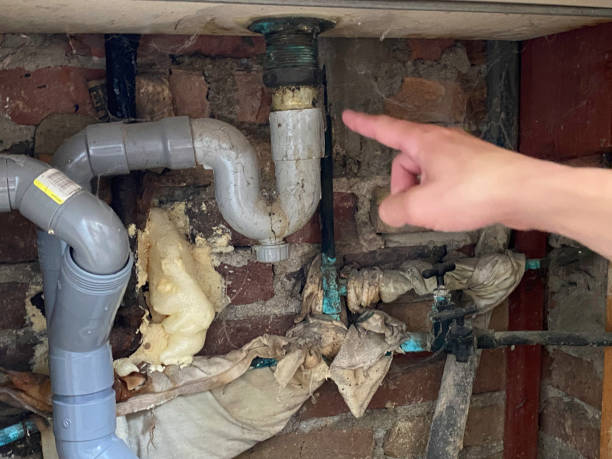 Best Residential water damage restoration  in Triana, AL