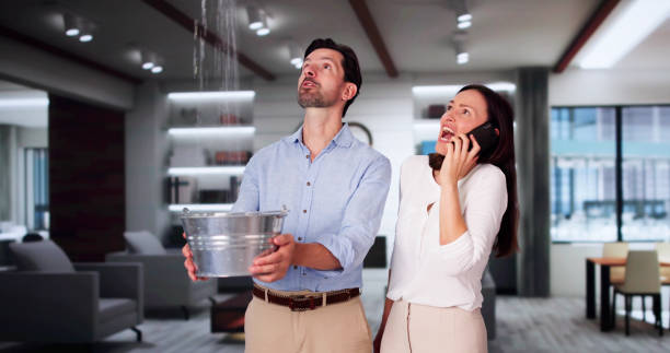 Best Flood damage cleanup  in Triana, AL
