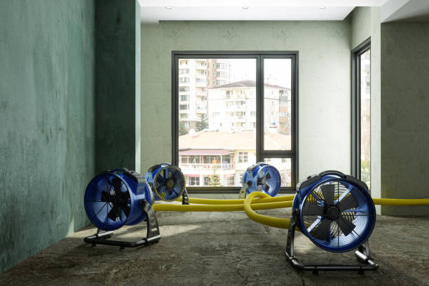 Best 24-hour water damage restoration  in Triana, AL
